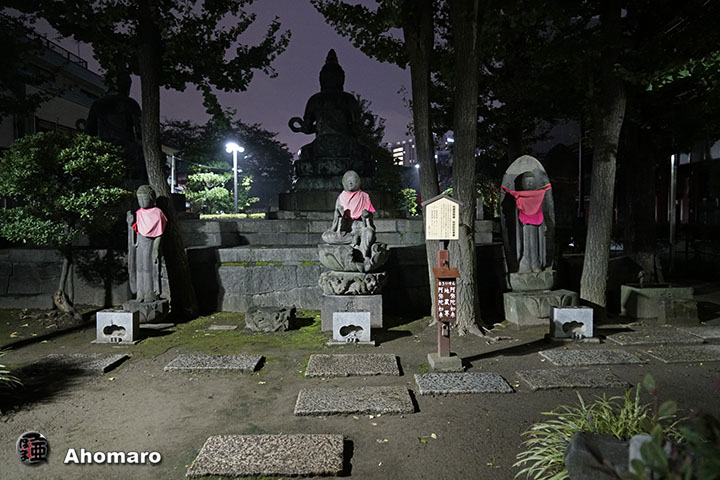 写真00