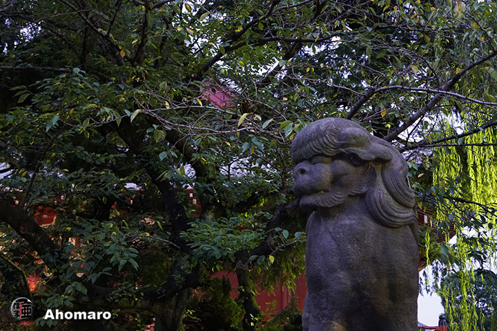 写真00