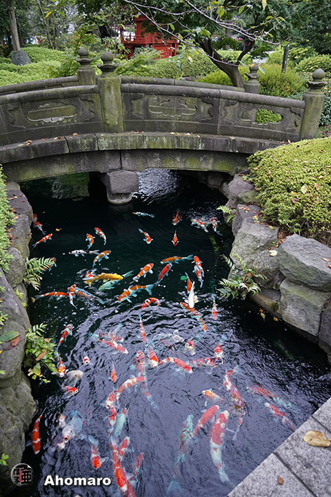 写真00