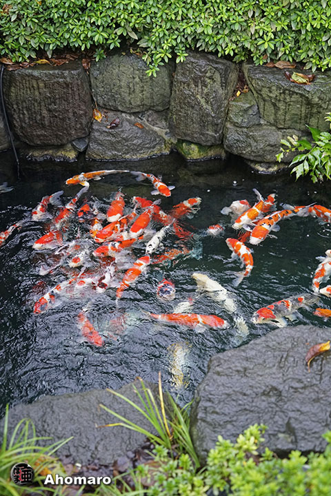 写真00