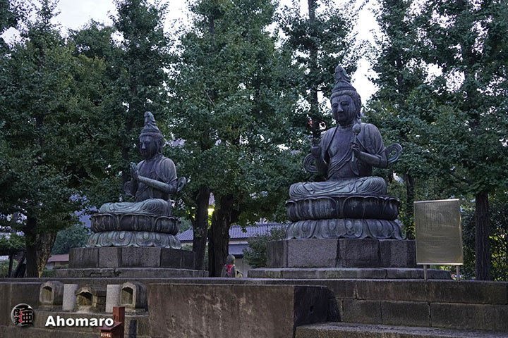 写真00