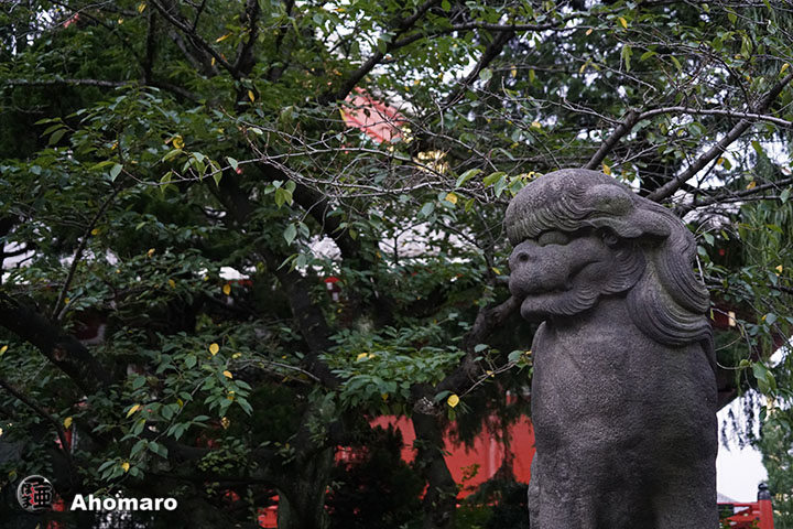 写真00