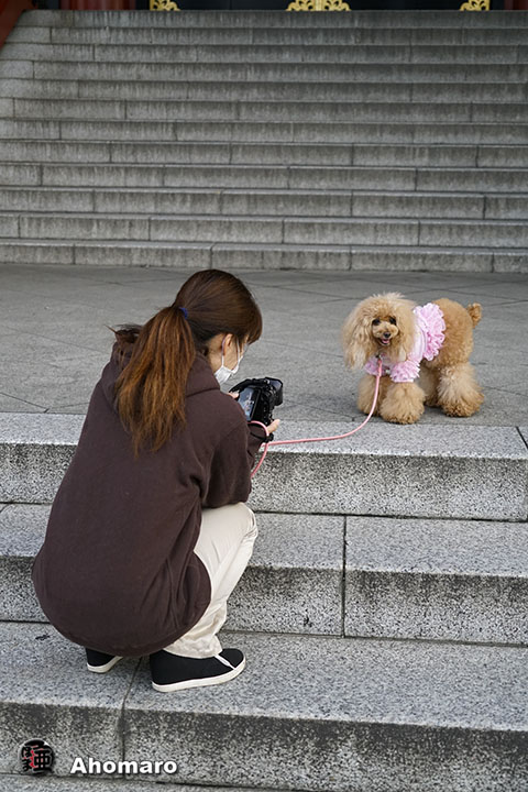 写真00