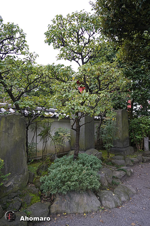 写真00
