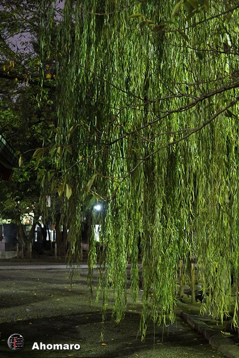 写真00