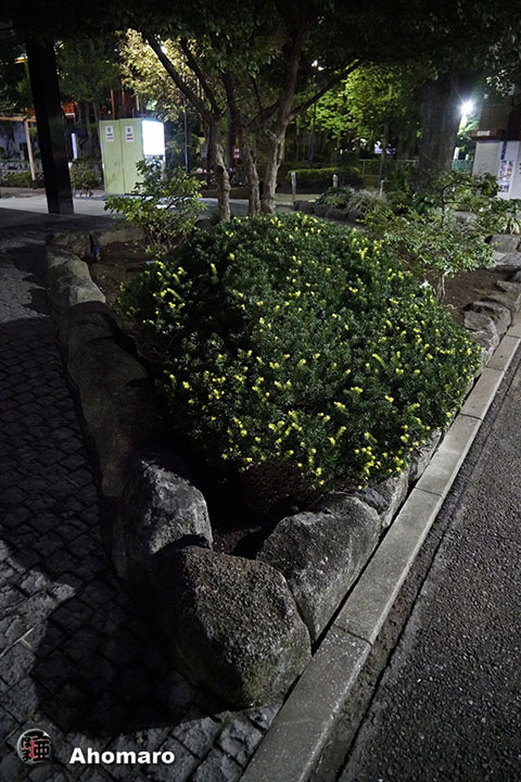 写真00