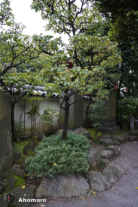 写真00