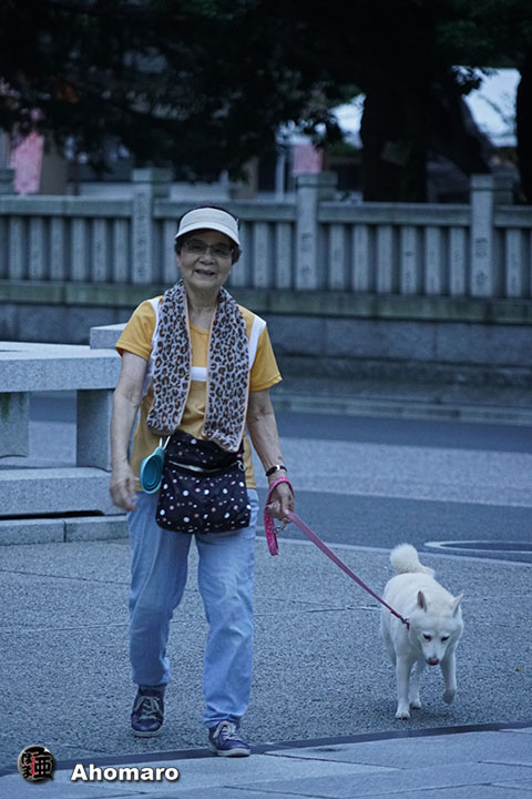 写真00