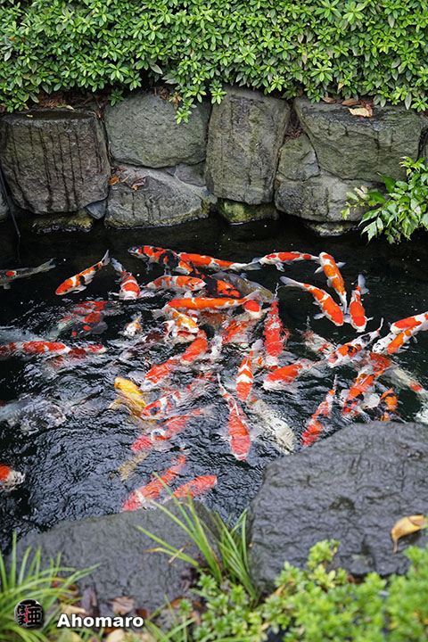 写真00