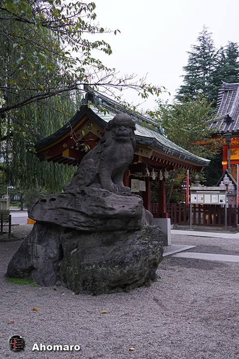 写真00