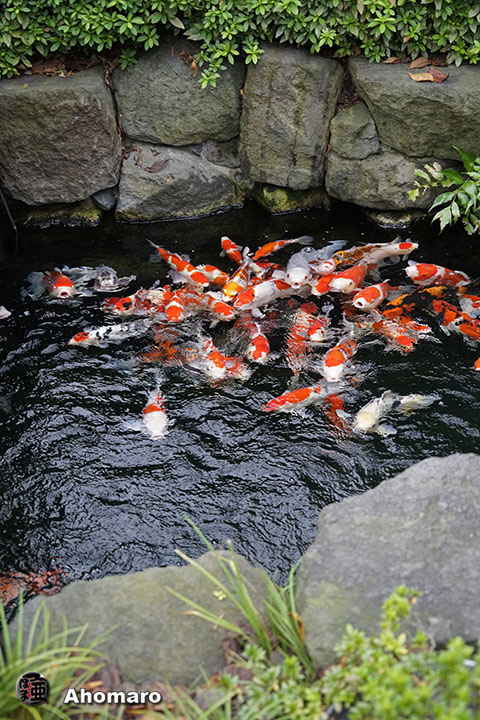 写真00