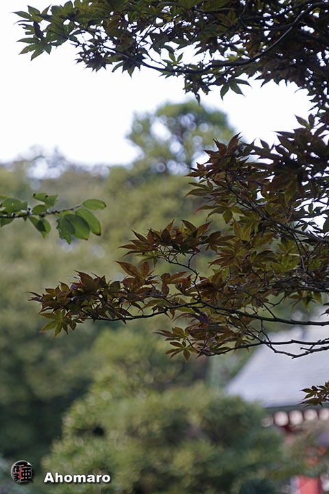 写真00