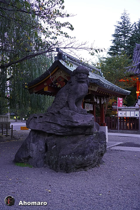 写真00