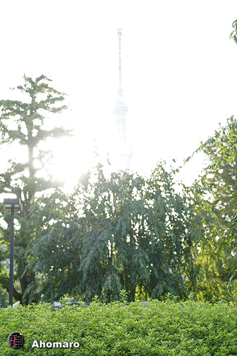 写真00