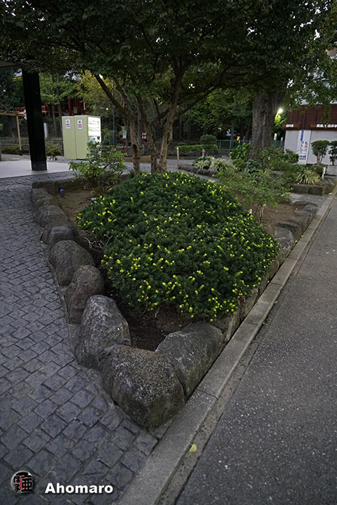 写真00