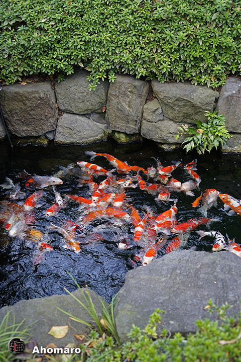 写真00