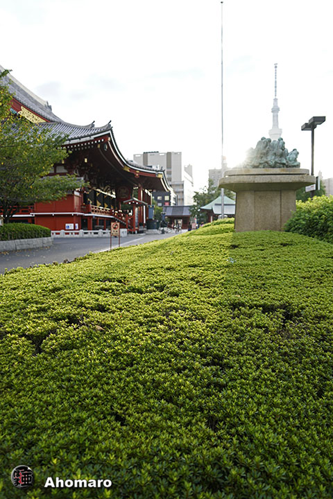 写真00
