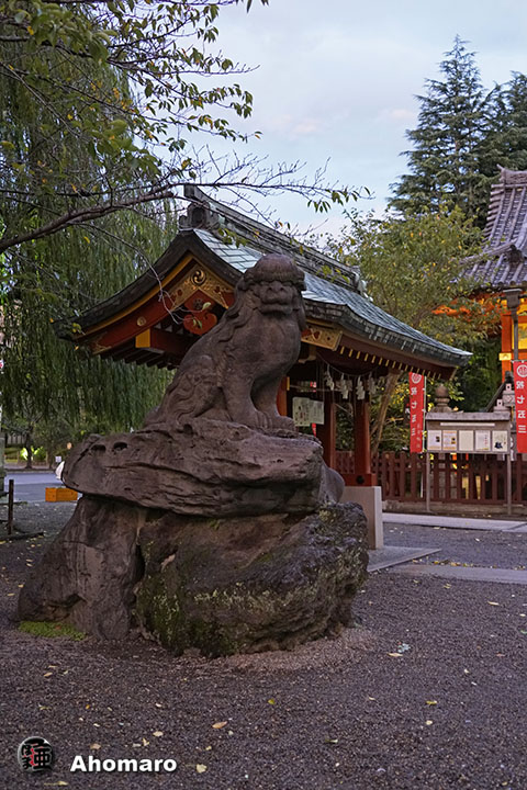 写真00