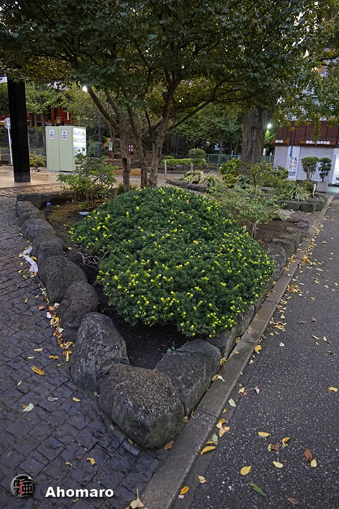 写真00