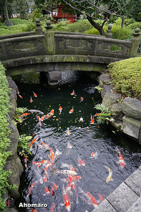 写真00