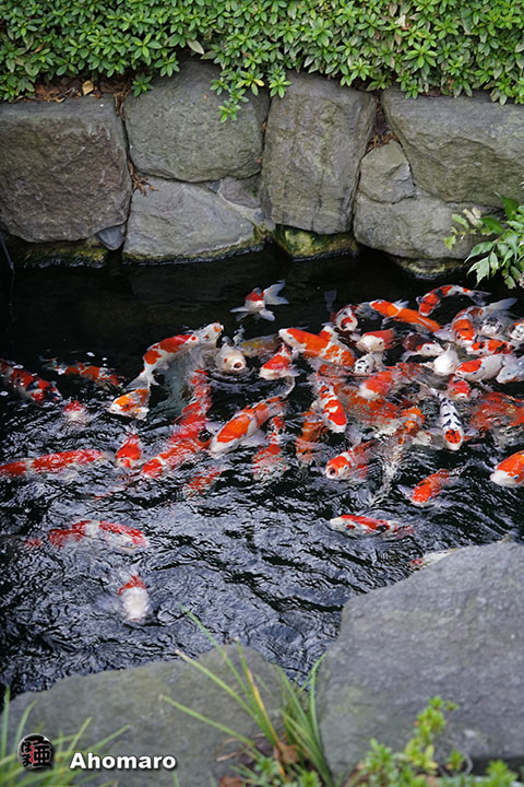 写真00