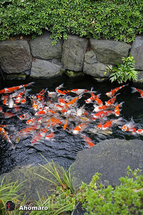 写真00