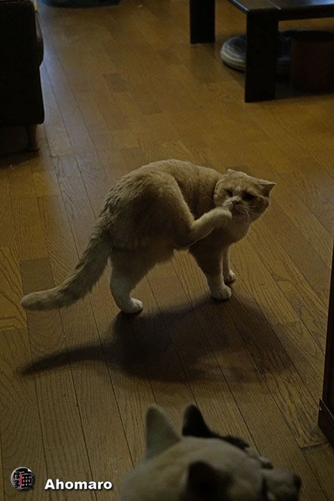 写真00