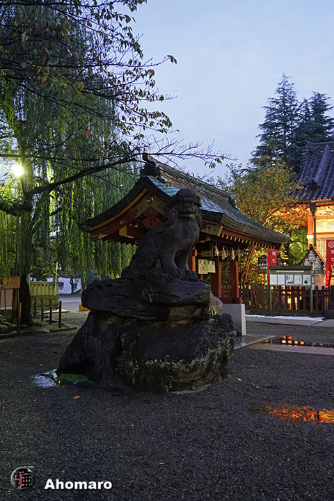 写真00