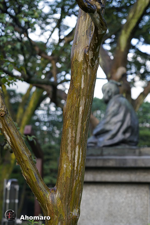 写真00