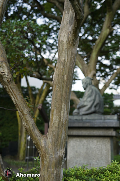 写真00