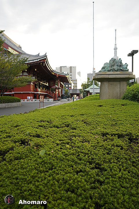 写真00