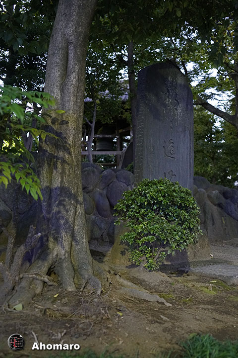 写真00