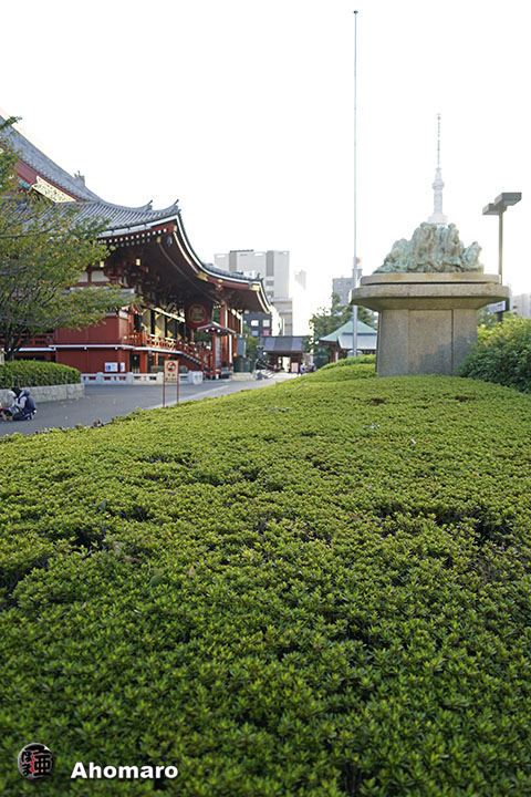写真00
