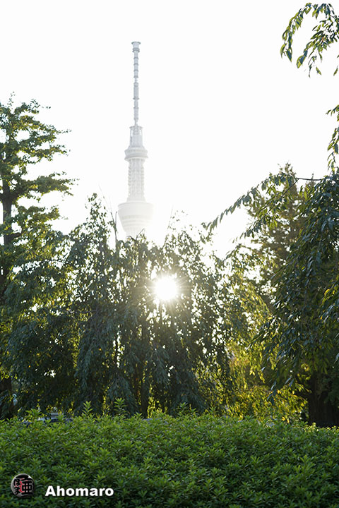 写真00