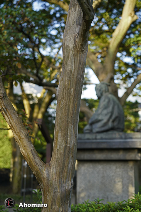 写真00