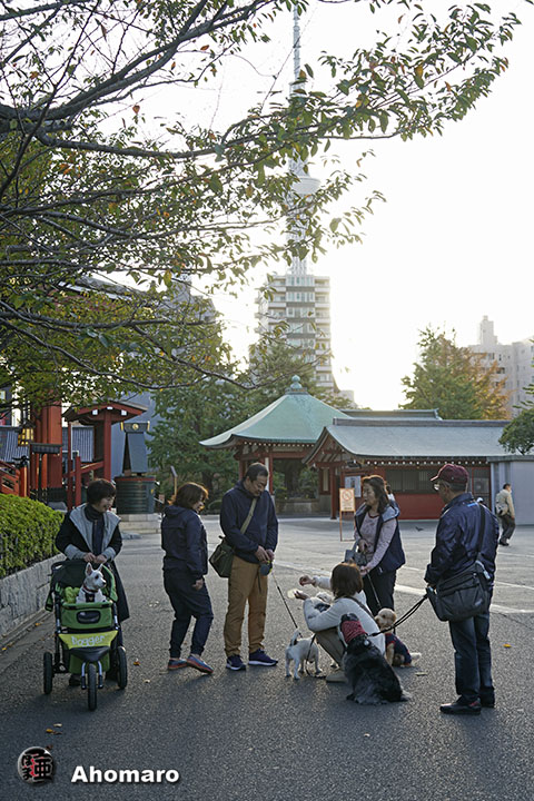 写真00