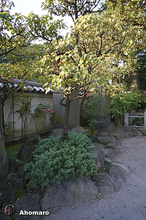 写真00