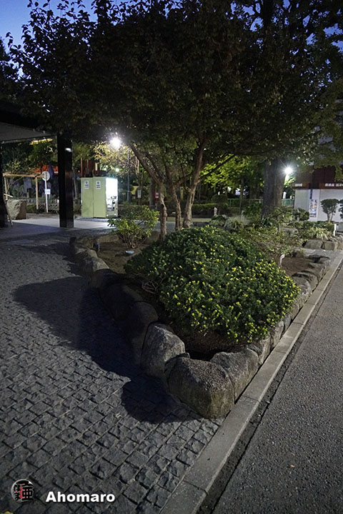 写真00