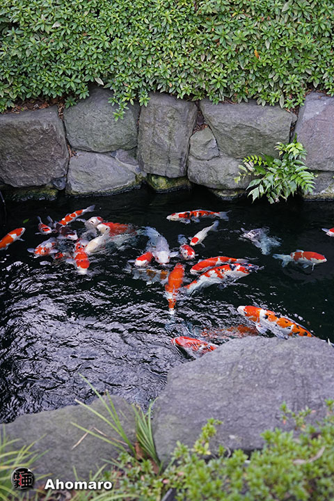 写真00