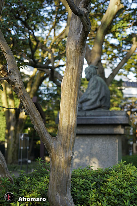 写真00