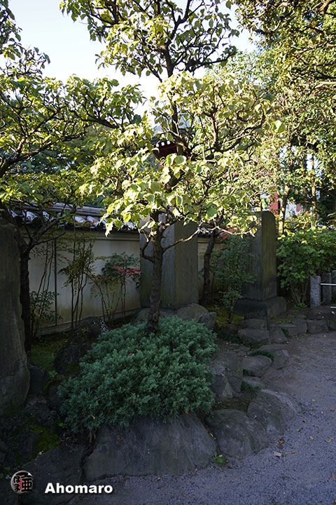 写真00