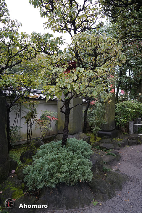 写真00