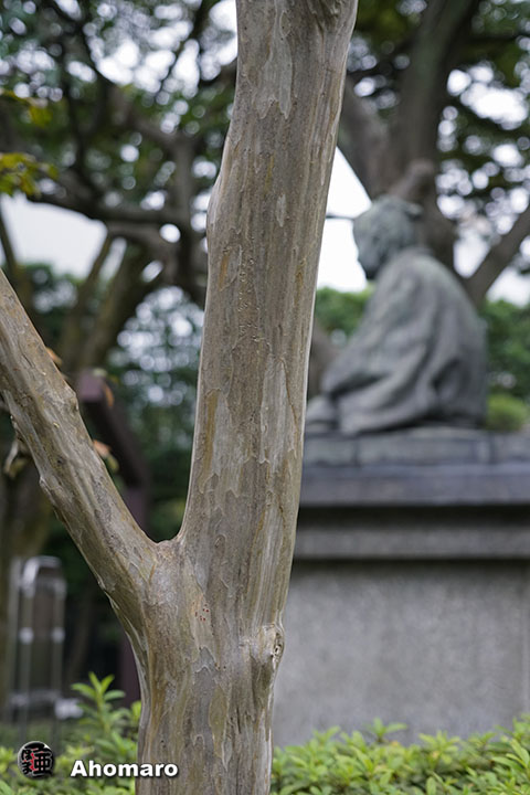 写真00