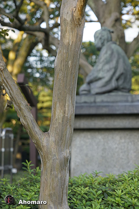 写真00