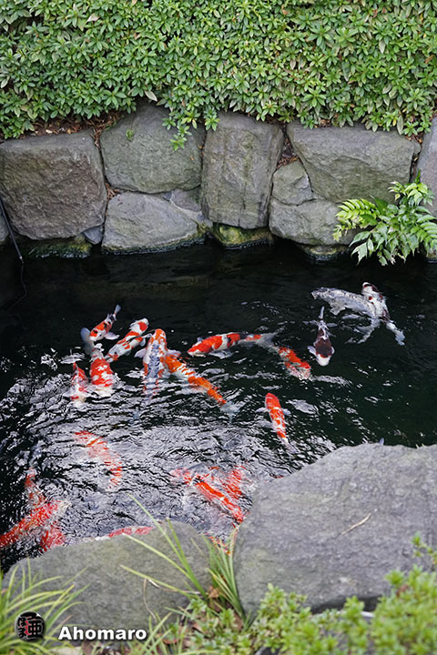 写真00