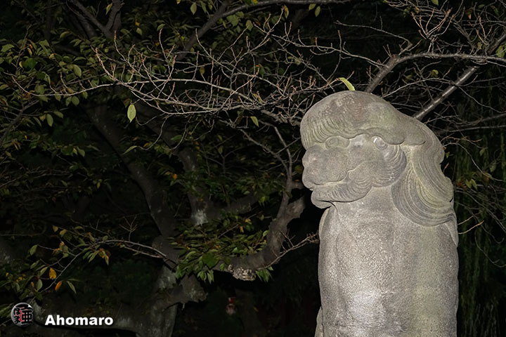 写真00
