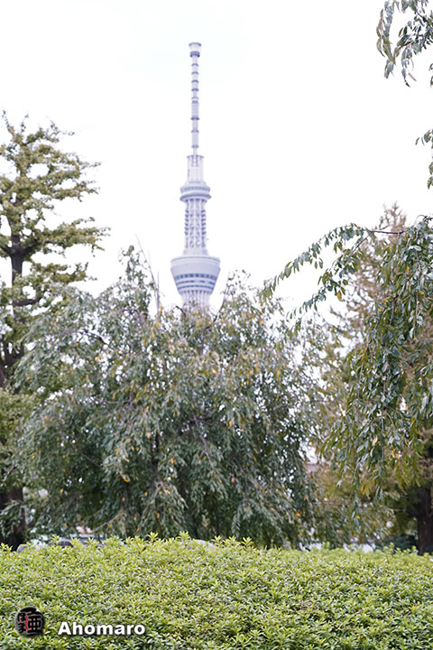 写真00