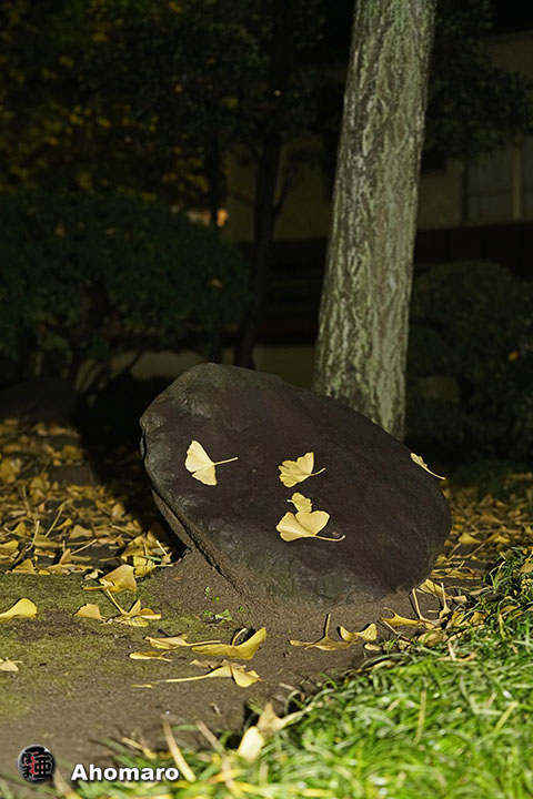 写真00