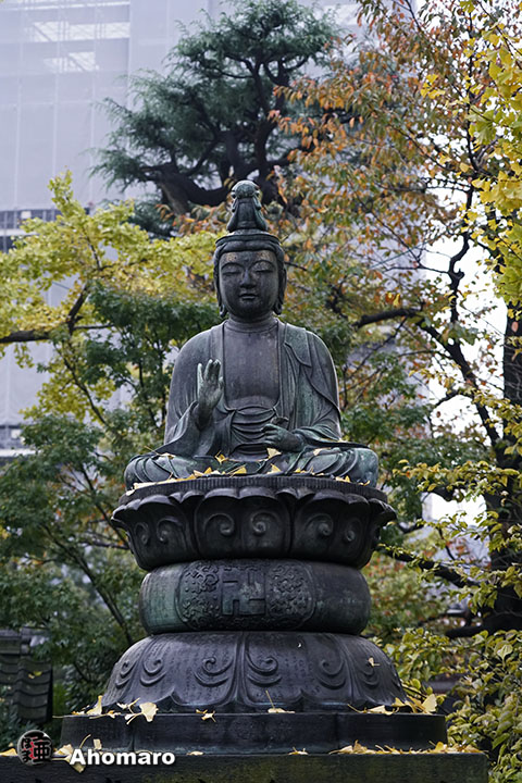 写真00