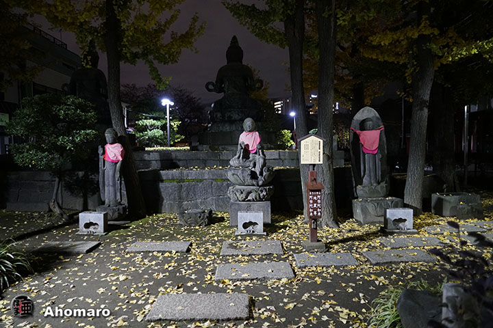 写真00
